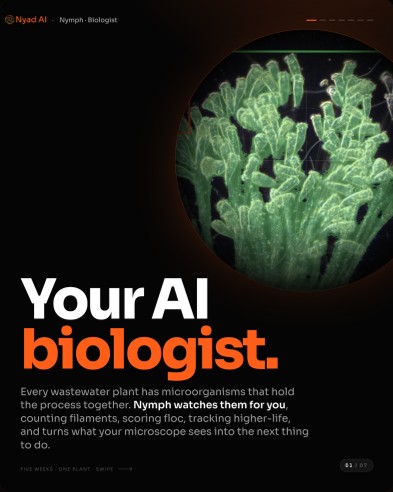 Nymph as a Biologist LinkedIn carousel cover