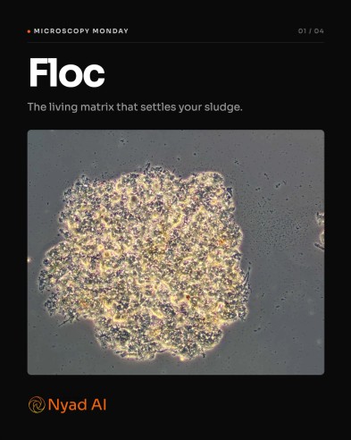 Microscopy Monday floc LinkedIn carousel cover