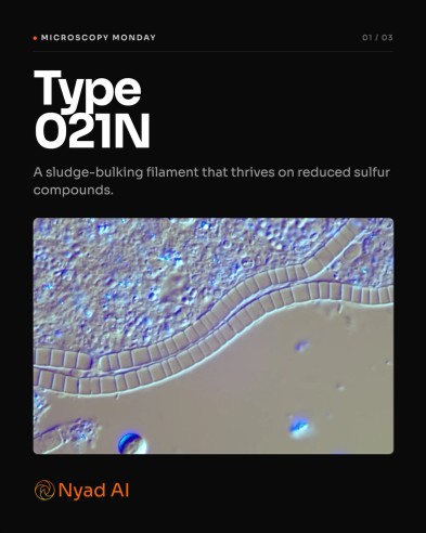 Microscopy Monday carousel cover featuring Type 021N