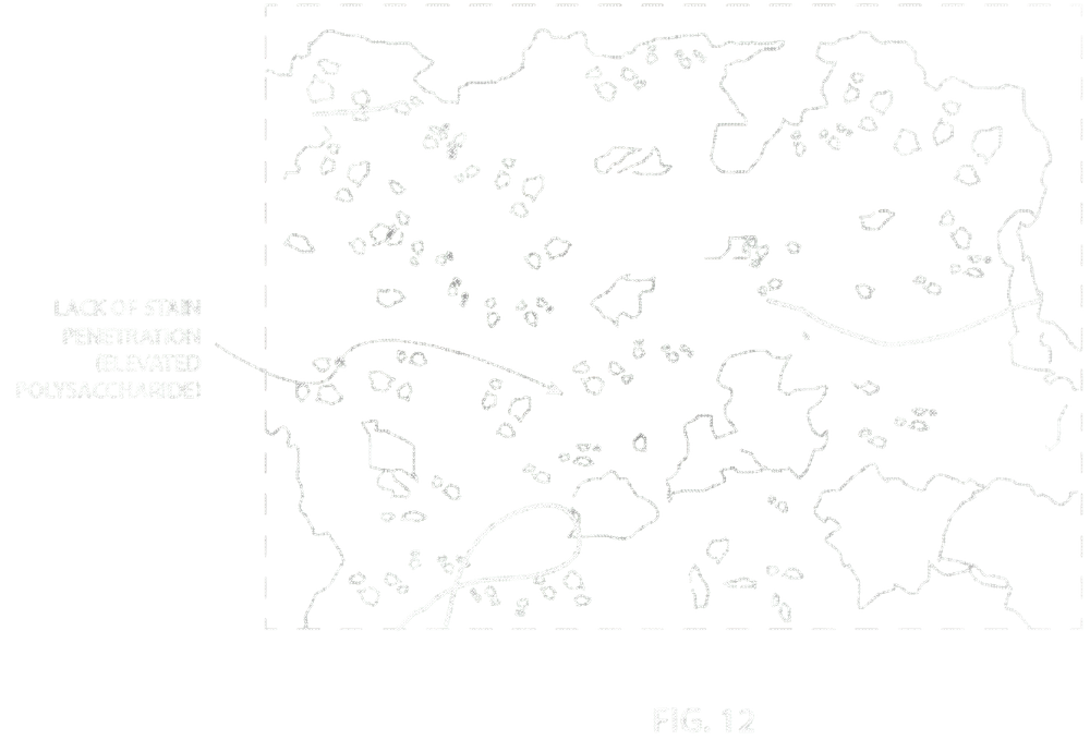 Stain penetration analysis microscopy figure