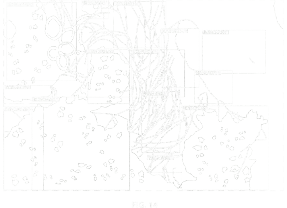 Live object detection output